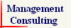 Management
Consulting 