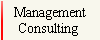 Management
Consulting 